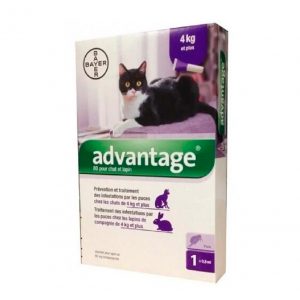 Advantage Gato 4 a 8 Kg
