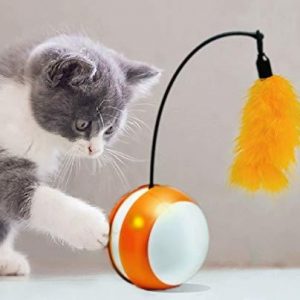 Interactive Cats Toys