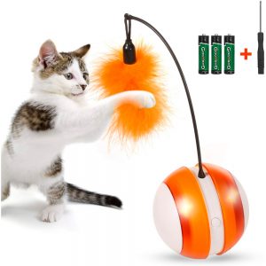 Interactive Cats Toys