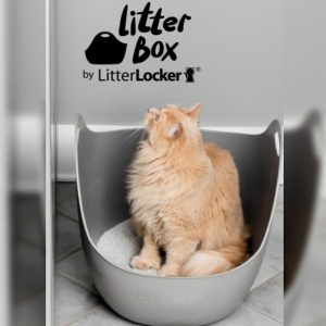 Arenero Litter Box