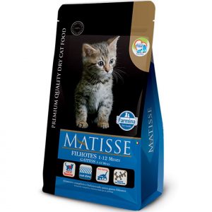 Matisse Filhote Gatito